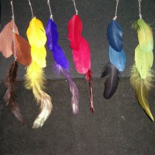 Feather Earrings LONGGGG Chains Unique Style Not Like the Rest