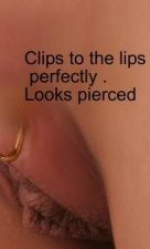 I Love You SEXY Pussy Clips Labia Clips NO Pierce Lips